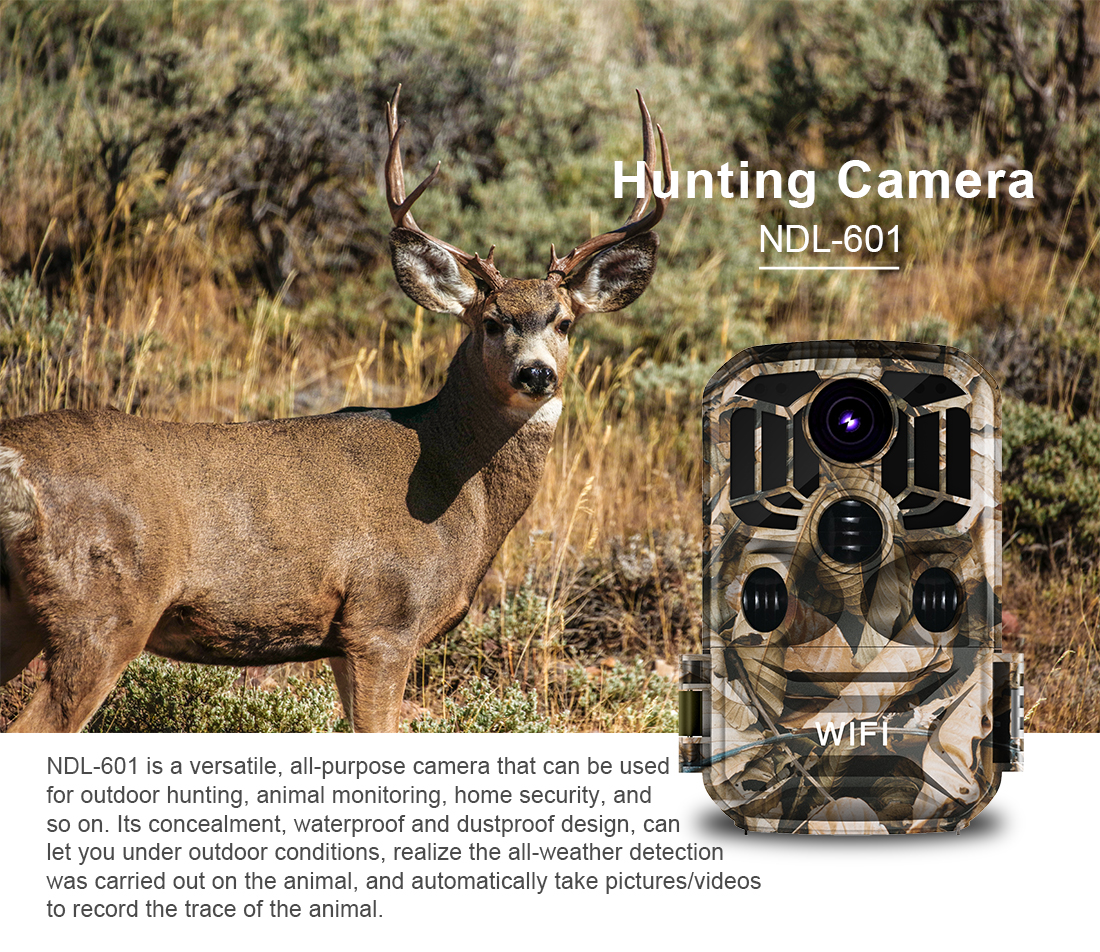 HD 24 million WiFi infrared night vision 1080P hunting camera hunting camera